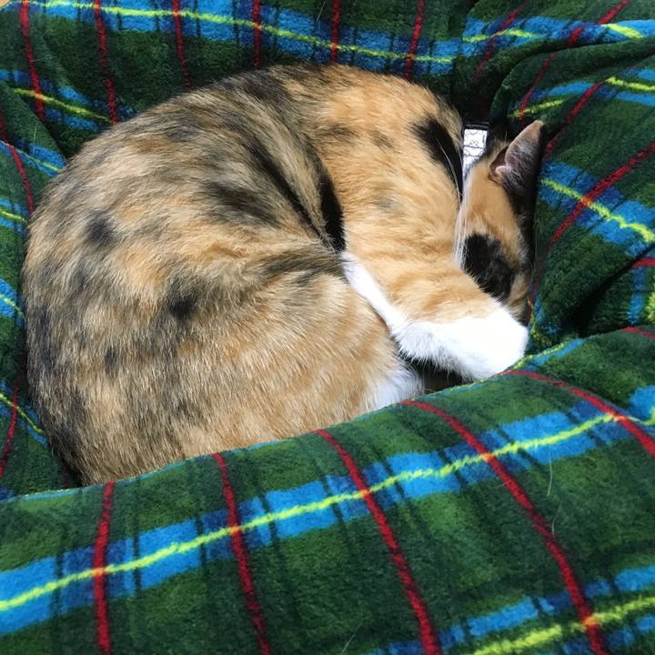 C5110fe2 3615 4ef1 822c 5b4cc603e562