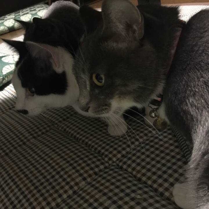 C5113194 80c6 4f97 a16b 5e53a1d275b4