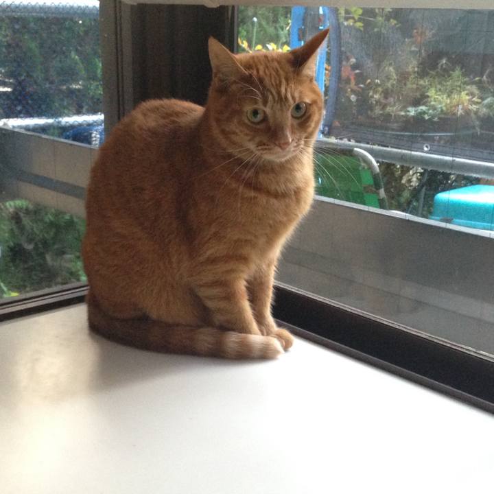 C511cce0 5cd2 4fc0 a79b 21d7d5fea4eb