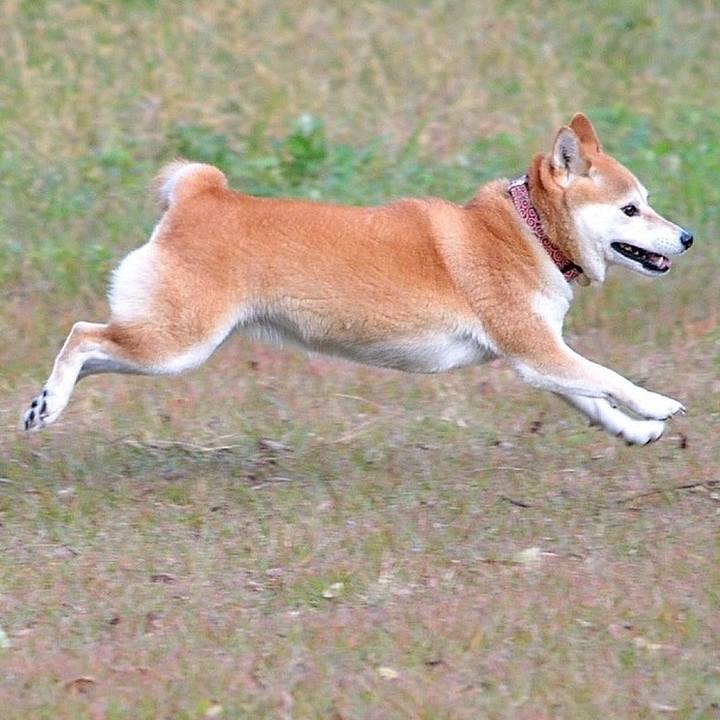 C513f0b0 a315 41e6 877f 76568d1195e0