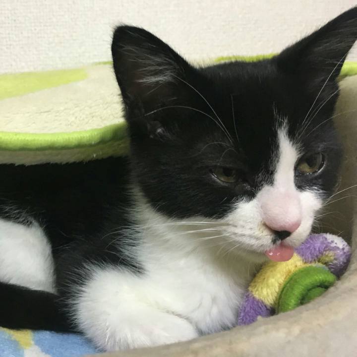 C51413eb 1583 444b bfec 248fa34570e1