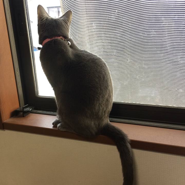 C51471f7 0674 401e a5fd 45666225bf60