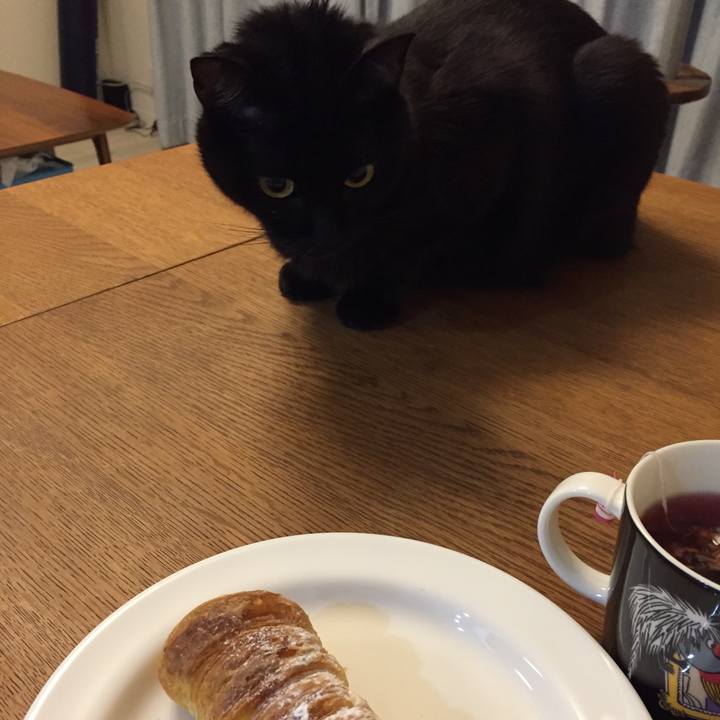 C51491cd 038f 4ba3 8306 a926fe7efc07