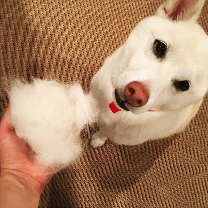 C5152fcc f045 46de b33c a2bd859992f9