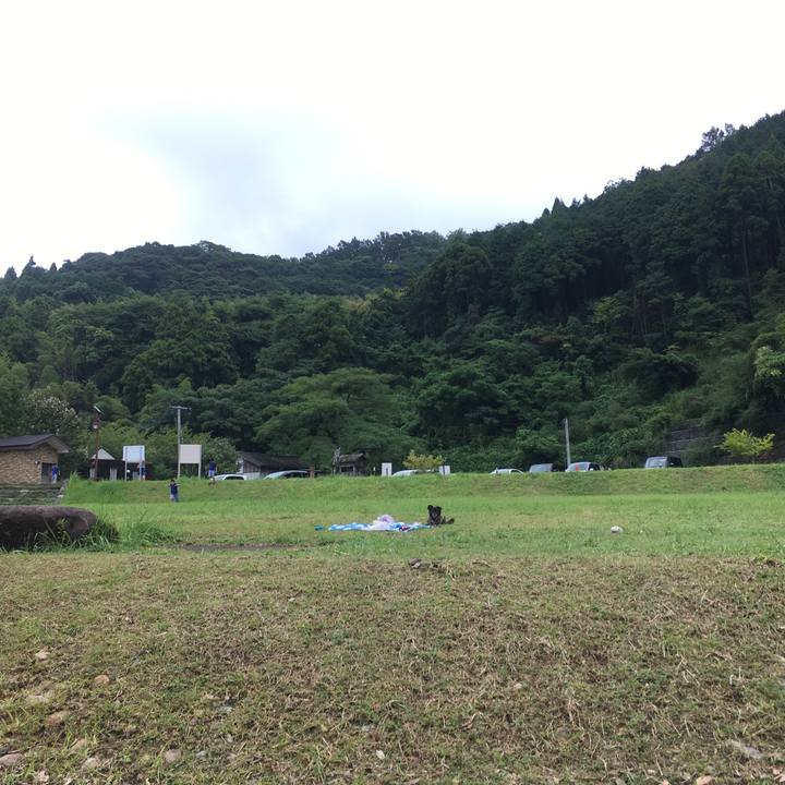 C51571bf a234 4da8 b8e7 2c74d4399c57