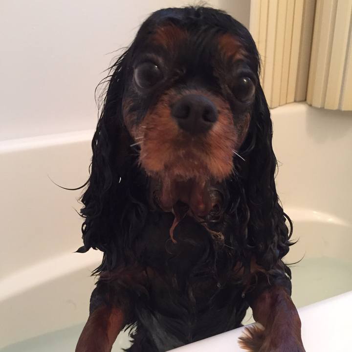 C516dd71 e653 41f4 a8b4 054986fc3c06