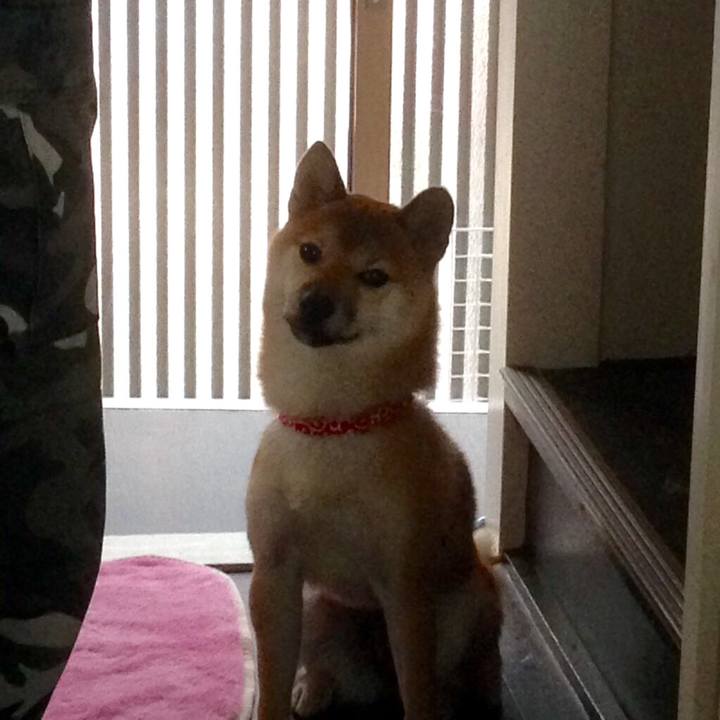 C517eb82 8ae6 4811 96bf 92d5ee2bfeab