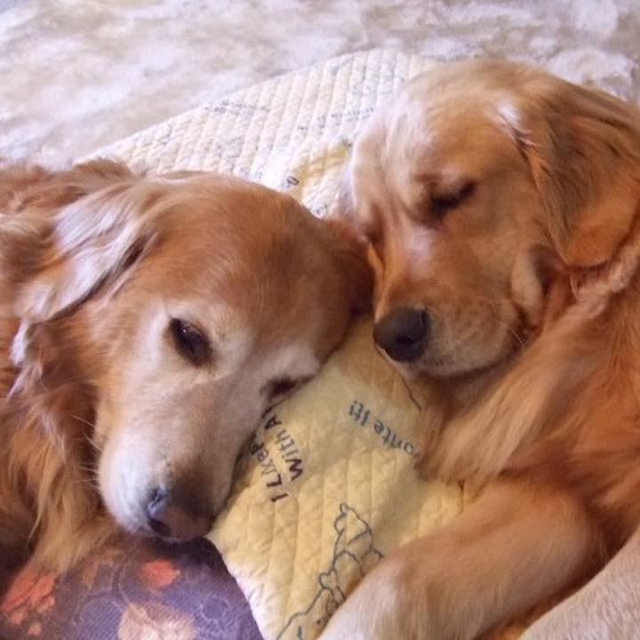 C517ebab 3cdd 46f3 a2f1 27c86bed33c3