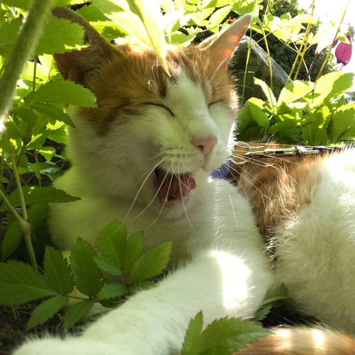 C5189d3d 22de 421e 9f14 42571bda8562