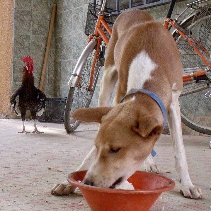 C51ab5b8 54e0 4917 baac dc30cf935664