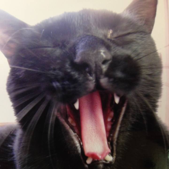 C51b0c17 279a 4fb6 832b 4aef29415595