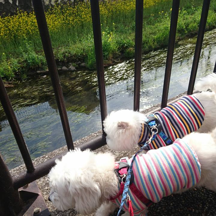 C51b440a 875d 428d accd 6cc2830e3bee