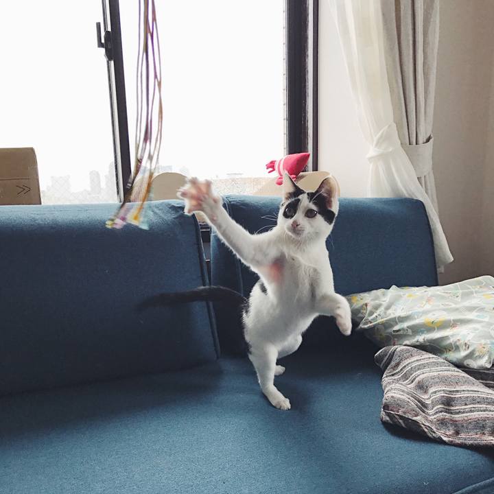 C51c66a6 8c7c 4d16 ab04 2236d9281089