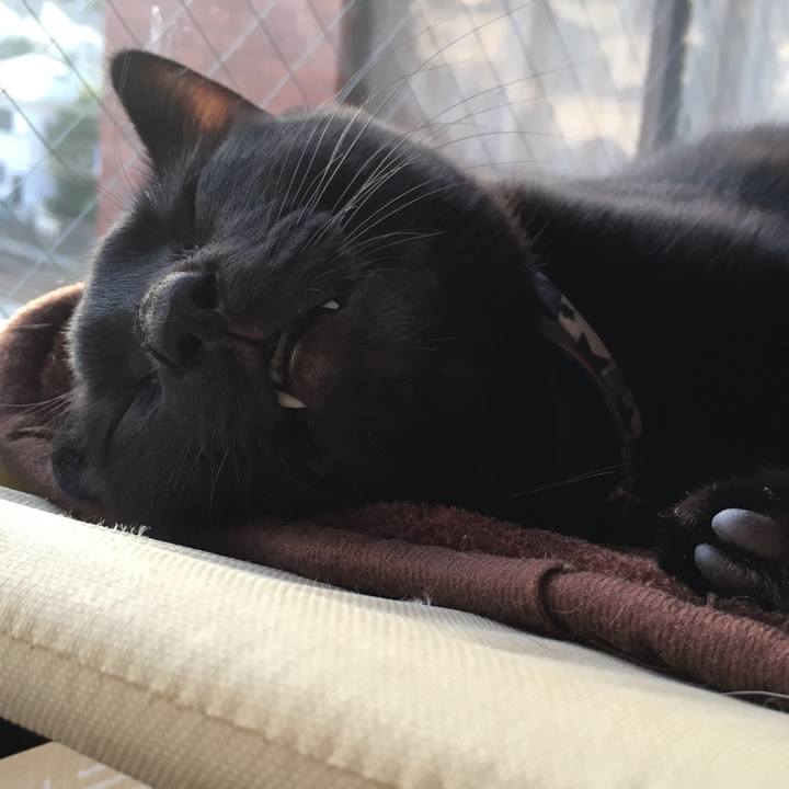 C51c97aa e5fb 471b 97ec 75951902806f