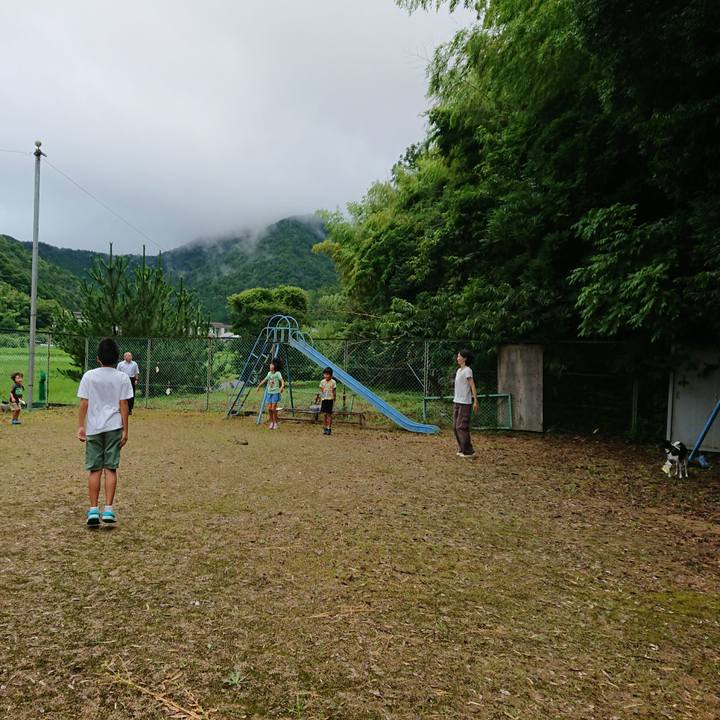 C51ca08c 8a95 4d83 abba 49416aafd8d7