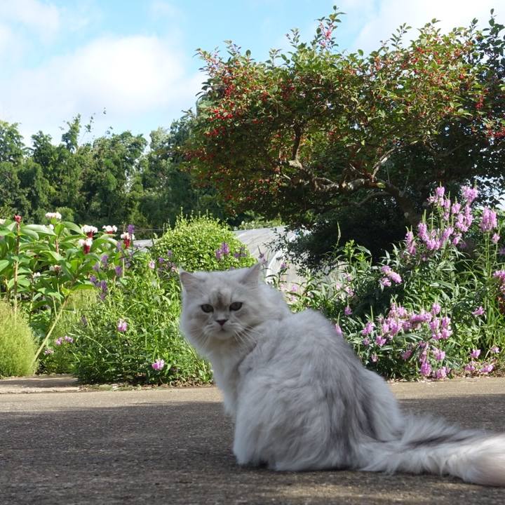 C51cf6a2 c2e6 4c9f a3d4 1933bb8c68f3