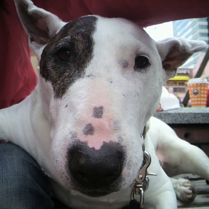 C51d0548 b70c 4129 bc97 68a2cfd2daf8