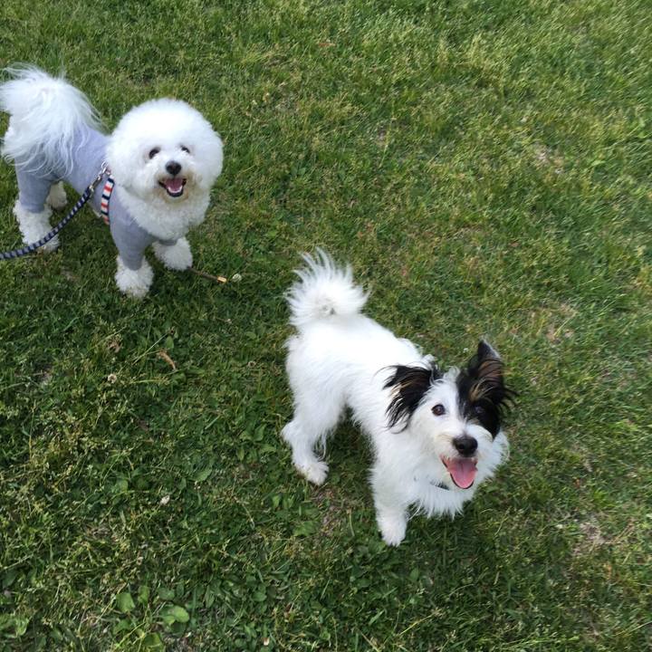 C51df454 54a5 4703 bd4a ab8be371c93b