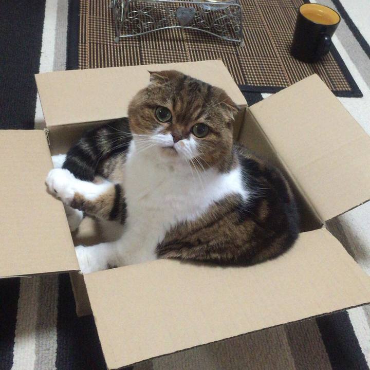 C51e03e2 7e43 46a9 9d4a 51ec4cedfe63