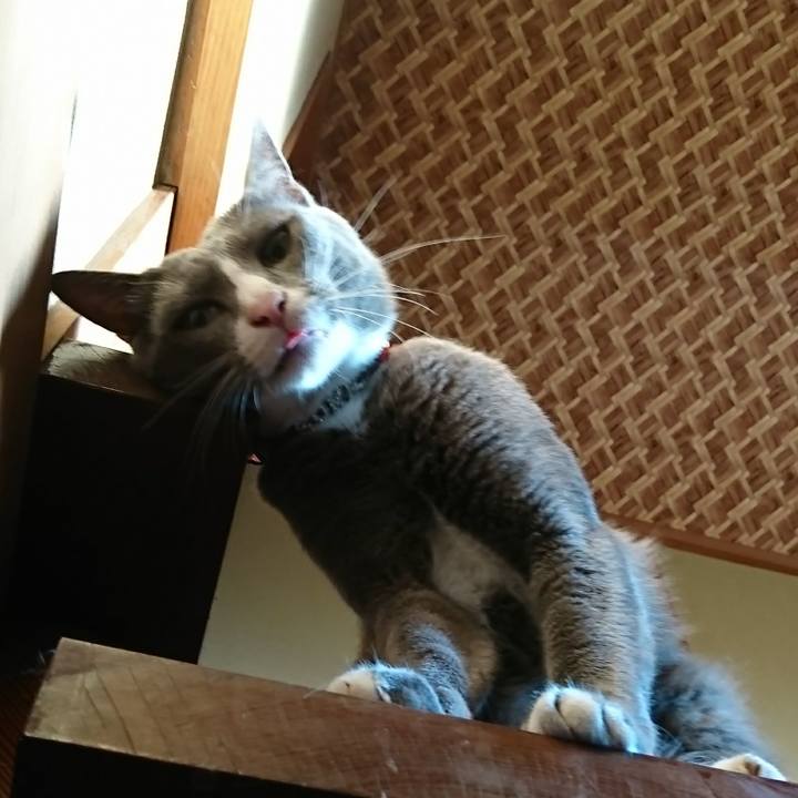 C51e0ceb db39 4735 bd59 6788535a84c5