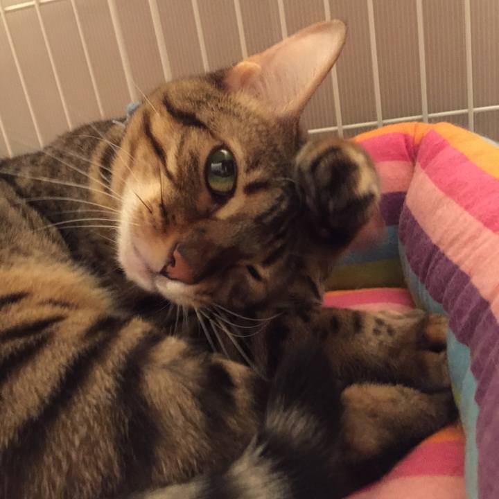 C51e2a42 5322 4809 8cba 2f55a37eaf5f