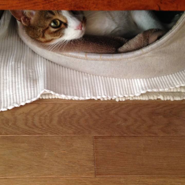 C51e3024 8b88 480b 939a 49a5aec49b58