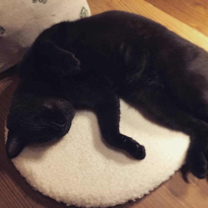 C51e30a0 a97d 473f 9aaa f9067770cdd8