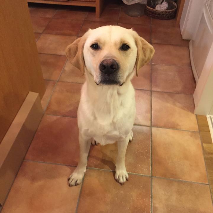 C51ec4ee b52f 4435 b5dd f7d9aee51b89