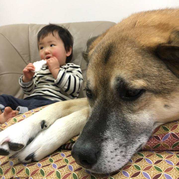 C51ee9aa af38 46ef 80f7 480fc9cb86bb