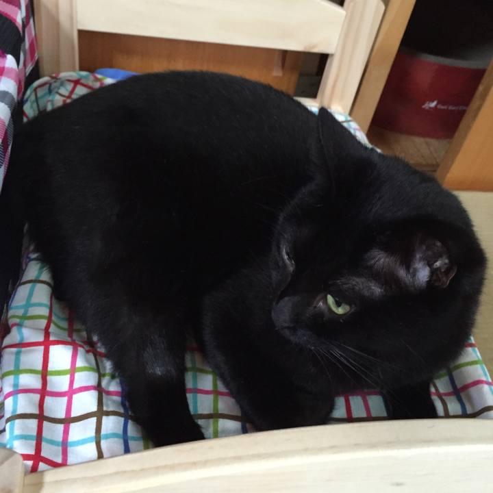 C51f86ac c40b 4669 99c7 04f0437bf384