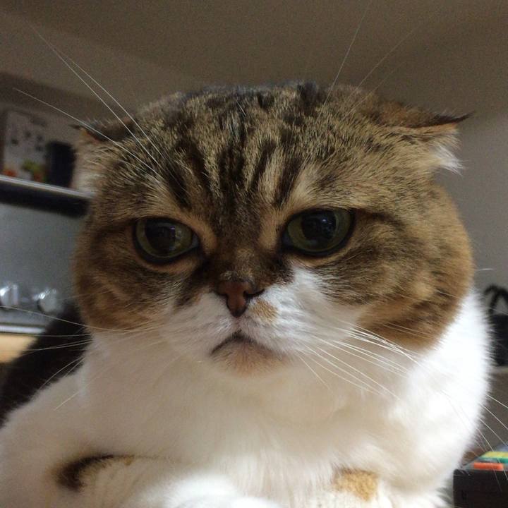 C51fab60 983f 48fa b16e b7d79360bf05