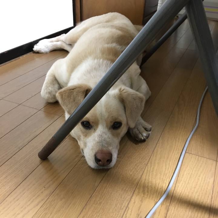 C51fe466 5700 49e9 b2d2 6edea4a08bff