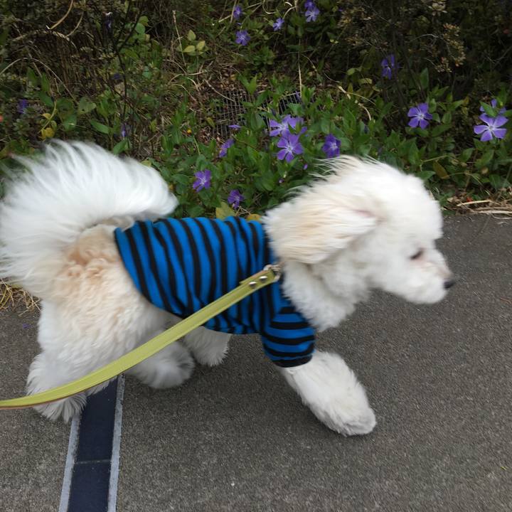 C51ff612 c91b 4c9c abdf e8c902a1a81a