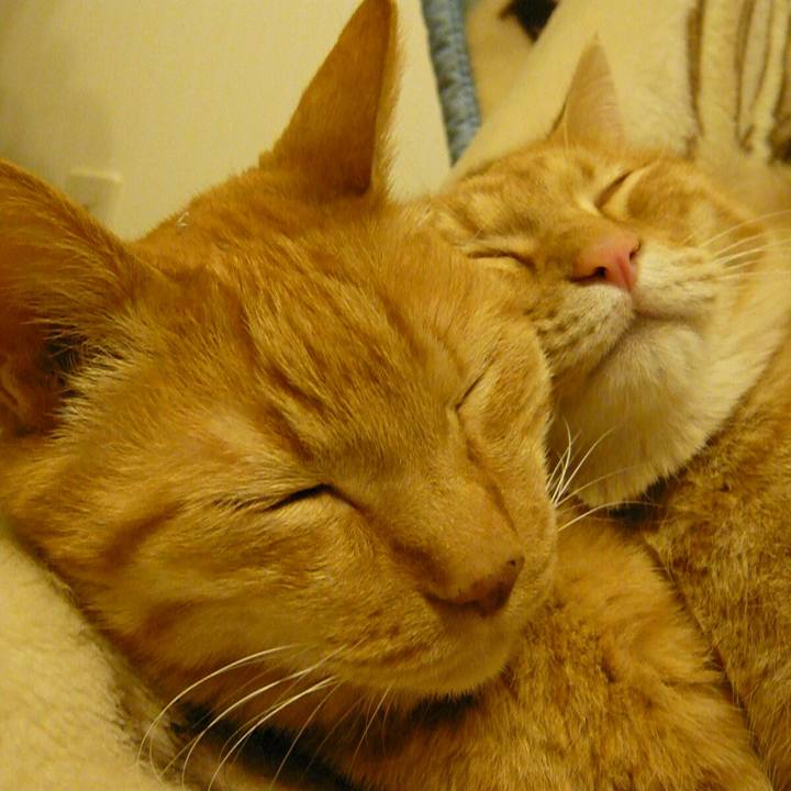 C51ffbe5 55df 49b9 b289 2fa3e90d32da