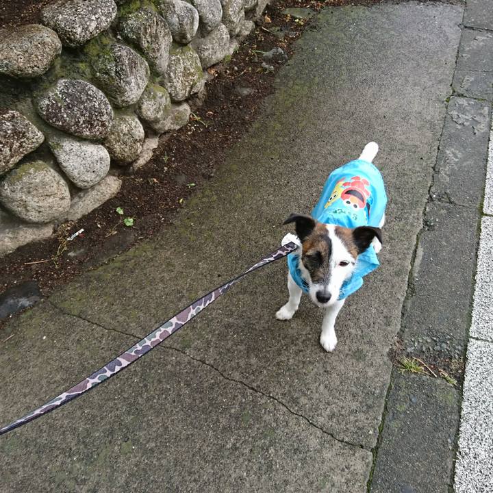 C5200caa b221 4677 90f4 c80879e25b29