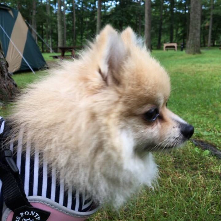 C520227c 6648 4de5 9e62 2ed7e1c77fb9