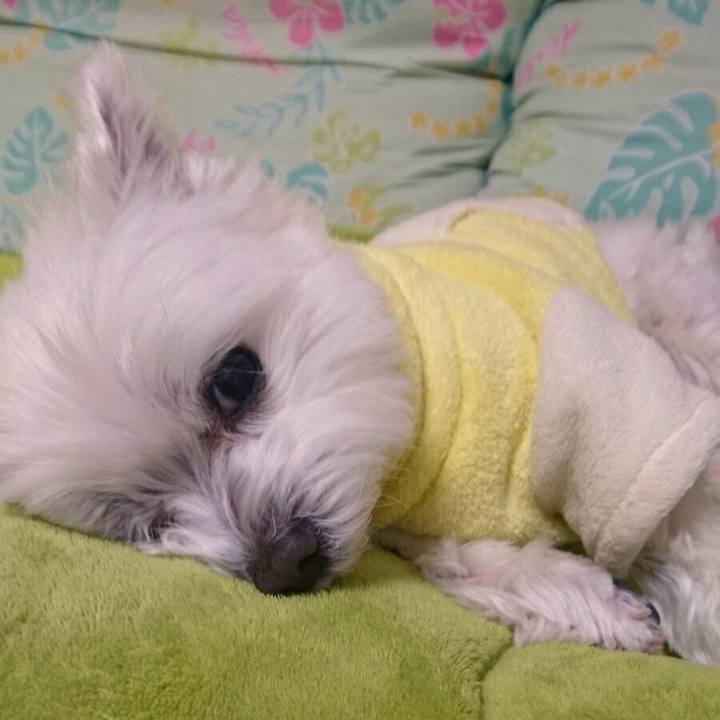 C5202608 6e02 44bc aeb7 55f12e1adf39