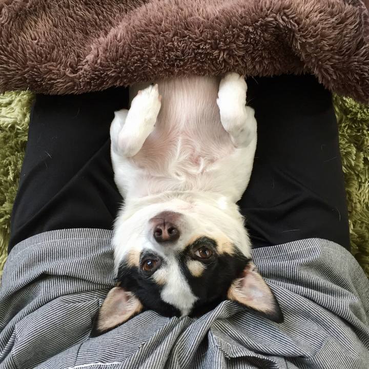 C52096c6 3275 4b30 a81f f4733cee7f1e