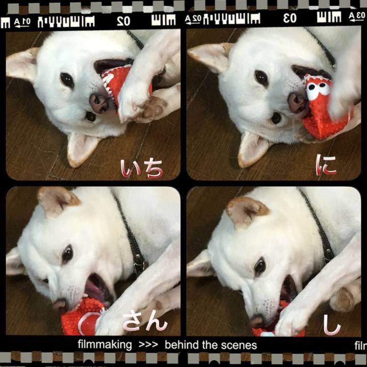 C520984c a98c 46ff a301 7aaa3e6f549c