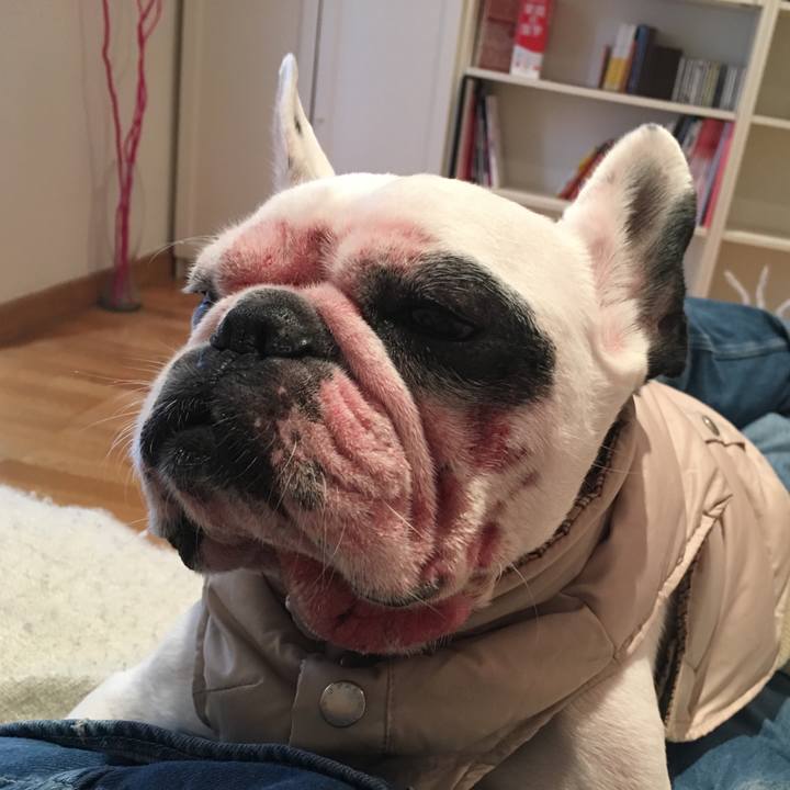 C520be61 01bd 4635 b9c3 b4676392985c