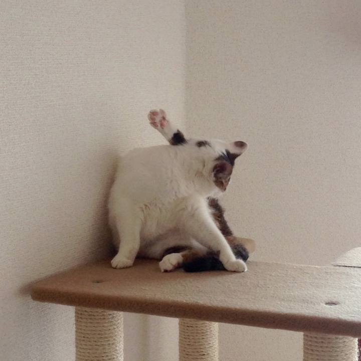 C5216030 a488 4fae b0be 1667c962382d