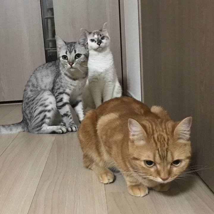 C521ae3f 89d2 4da2 909e 79f401547b4a