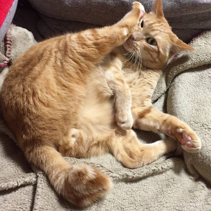 C521ba46 3ef0 43a4 b34b 1a58c5a3f7b3