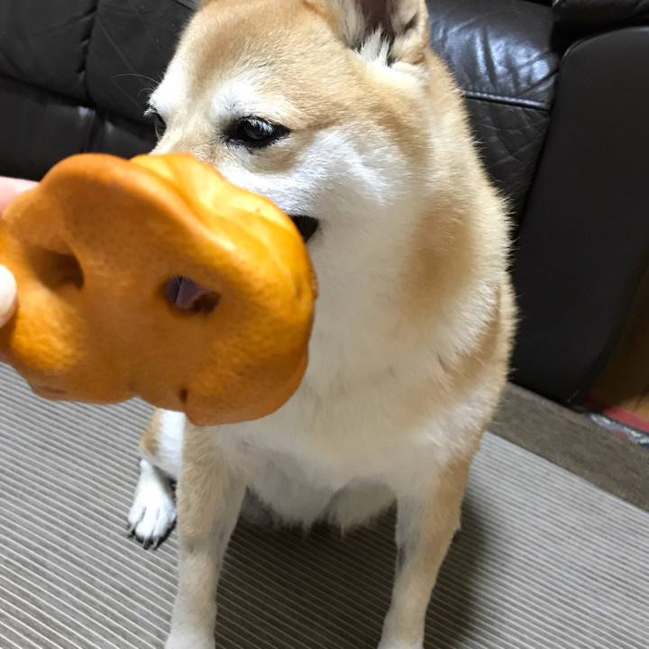 C5220731 20dc 42ce 8632 5f228fd69160