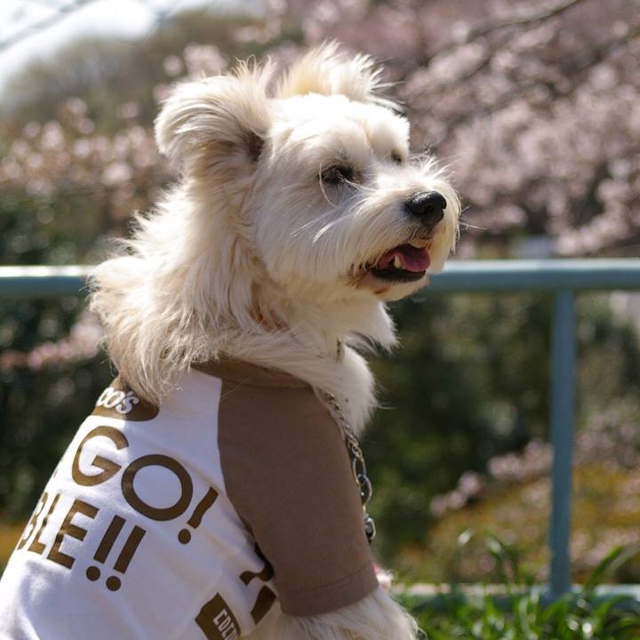 C5223199 46c9 4c33 946e d6b8d47bc173