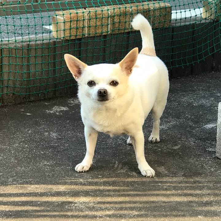 C522f300 7221 4e03 8596 9329f158a391