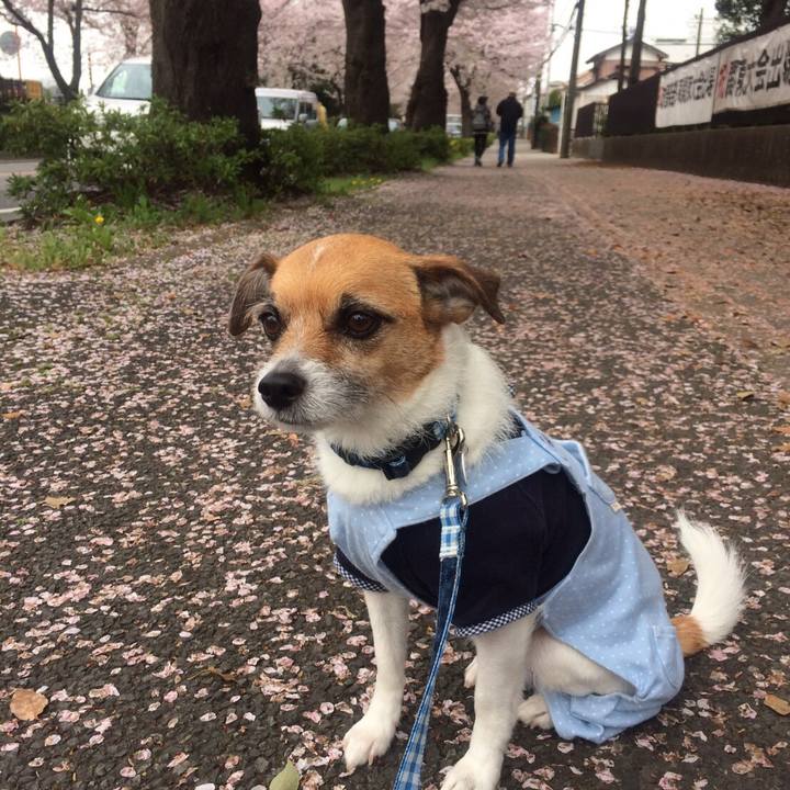 C523348f a2c0 47a7 a1d2 1c109bfbb2fa