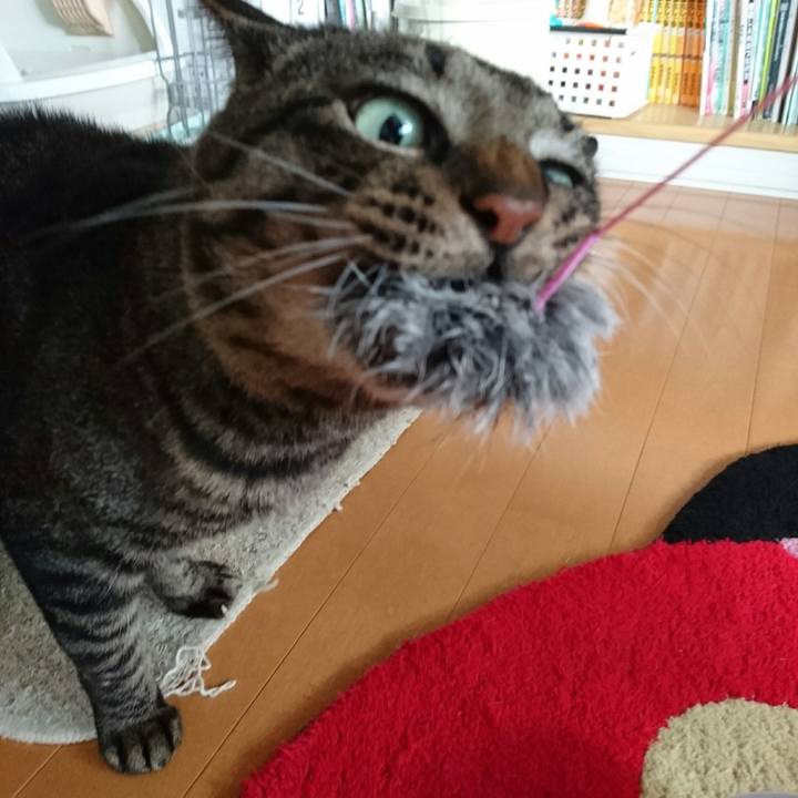 C5236b45 8818 44fe a851 8caa815f1406