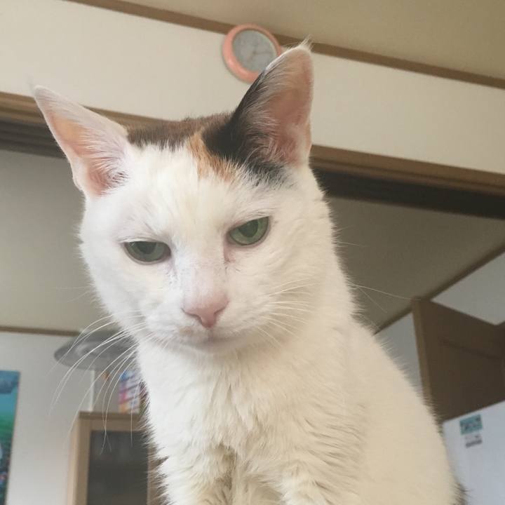 C523b3ca 7183 41f7 a56e 8e9588627ec4