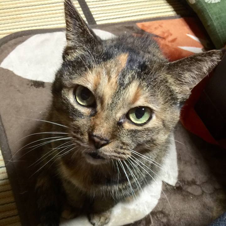 C52494eb 78d0 4b0d a7ad d459327cd0dd